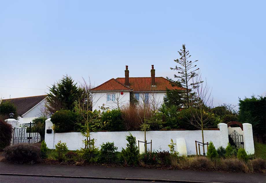 Dog-grooming-eastbourne